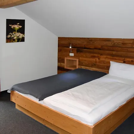Das Kleemanns 3* Mittelberg